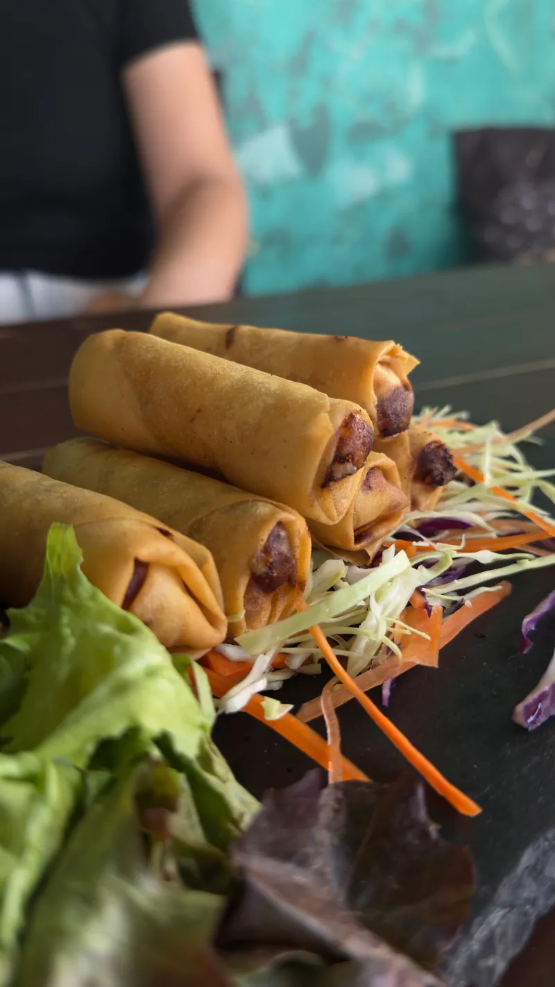 Crispy Spring Rolls